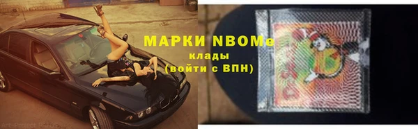хмурый Алзамай