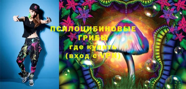 хмурый Алзамай