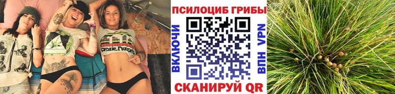Галлюциногенные грибы мицелий  Таруса 